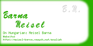 barna meisel business card